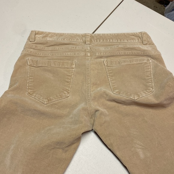 Banana Republic Ryan Fit Corduroy Flare Pants Women’s 8 regular Khaki Bootcut - Picture 6 of 12